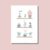 Lámina ilustrada - Rincón Botánico