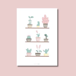 Lámina ilustrada - Rincón Botánico