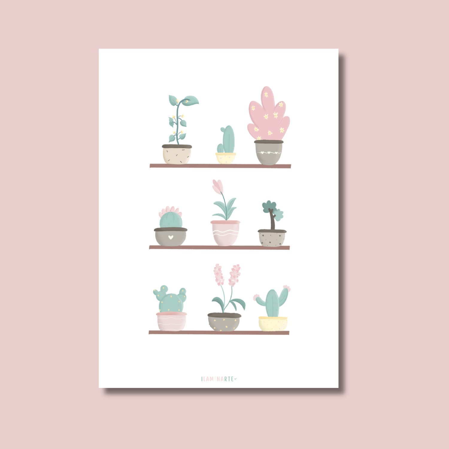 Lámina ilustrada - Rincón Botánico