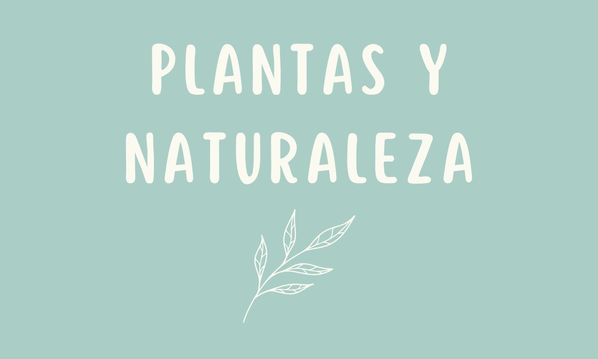Láminas ilustradas - plantas y naturaleza